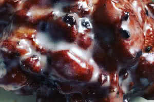 Blueberry Fritter