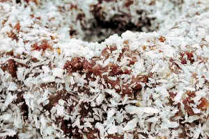 Chocolate Coconut Donut