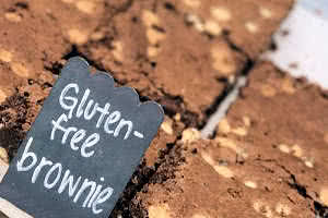 Gluten Free Brownies