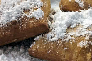 Beignets with Powdered Sugar
