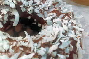 Chocolate Coconut Donut
