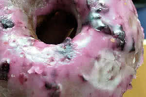 Maine Blueberry Donut