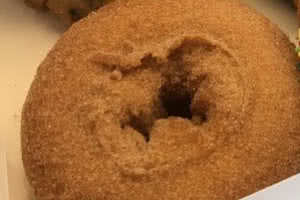 Cinnamon Donut