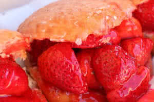 Strawberry Donut