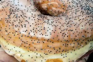 Lemon Poppyseed Donut