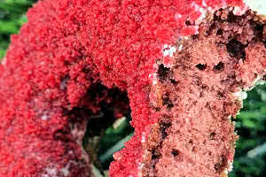 Red Velvet Cake Donut