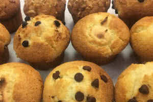 Fresh Muffins