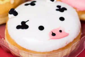 Cow Donut