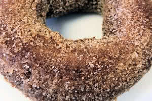 Sugar Cinnamon Donut