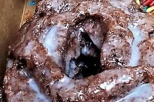 Chocolate Old-Fashioned Donut