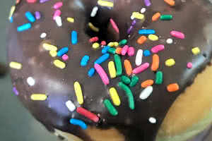 Chocolate Sprinkled Donut