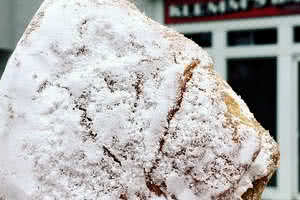 Powdered Vanilla Cream Donut