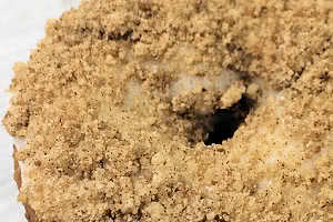 Coffee Cake Donut