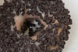 Chocolate Chip Donut