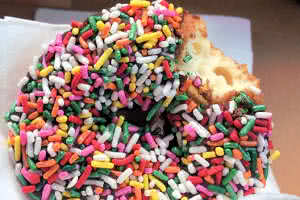 Sprinkled Donut