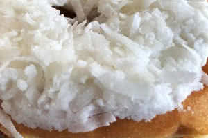 Coconut Donut