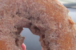 Cinnamon Sugar Donut