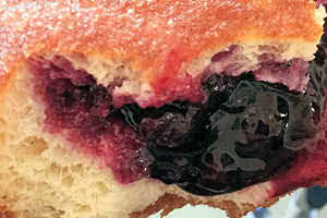 Maine Blueberry Donut
