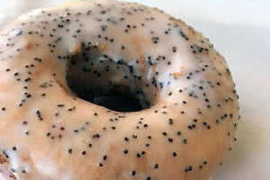 Lemon Poppyseed Donut