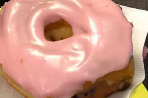 Classic Pink Donut